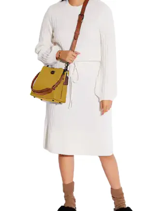 Coach Willow Bucket Bag In Colorblock