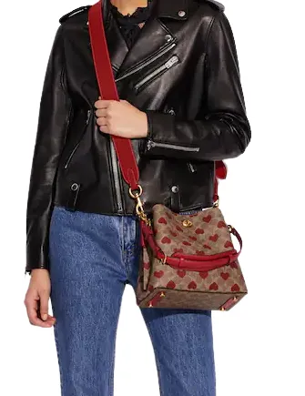 Coach Willow Bucket Bag In Signature Canvas With Heart Print
